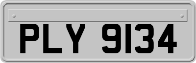 PLY9134