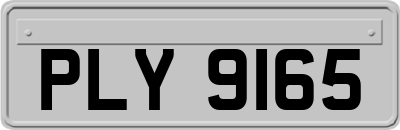 PLY9165