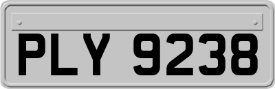 PLY9238