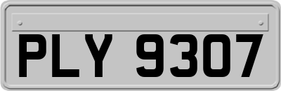 PLY9307