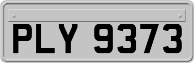 PLY9373