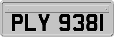 PLY9381