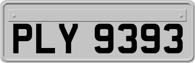 PLY9393