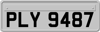 PLY9487