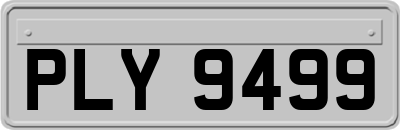 PLY9499