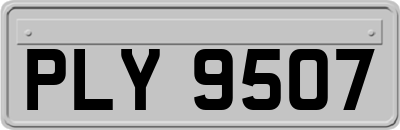 PLY9507