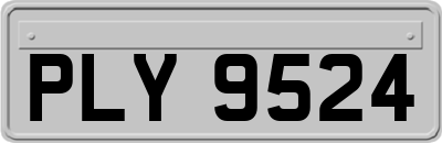 PLY9524