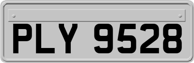 PLY9528