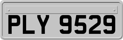 PLY9529