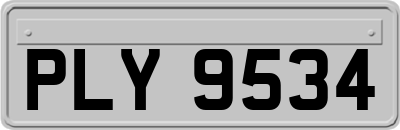 PLY9534