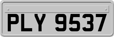 PLY9537