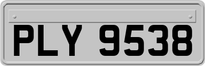 PLY9538