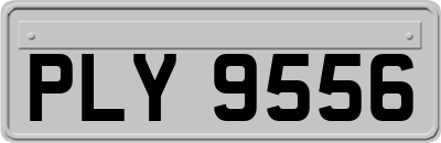 PLY9556