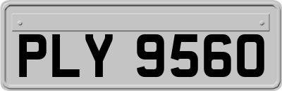 PLY9560