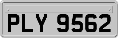 PLY9562