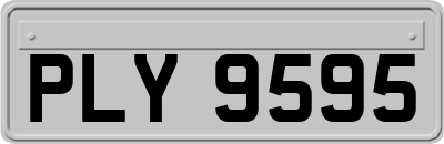 PLY9595