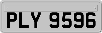 PLY9596