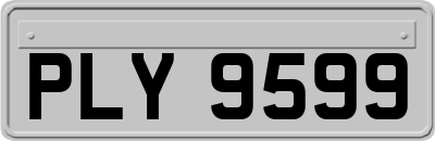 PLY9599