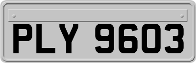 PLY9603