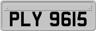 PLY9615