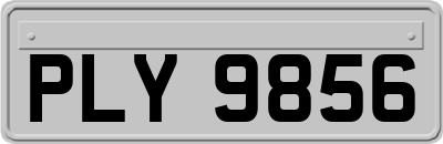 PLY9856