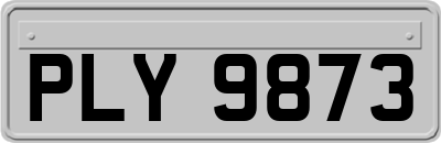 PLY9873