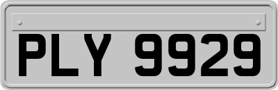 PLY9929