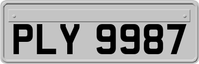 PLY9987