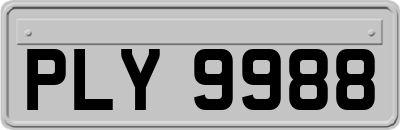 PLY9988