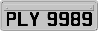 PLY9989