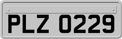 PLZ0229