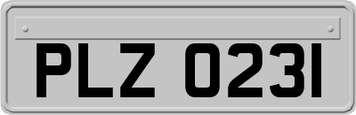 PLZ0231