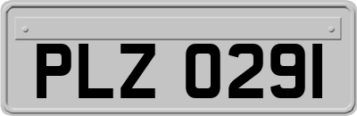 PLZ0291