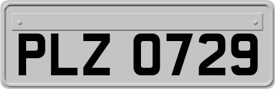 PLZ0729