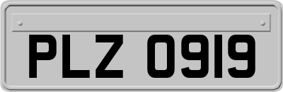 PLZ0919