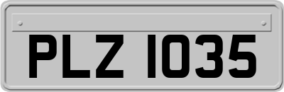 PLZ1035