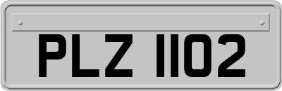 PLZ1102