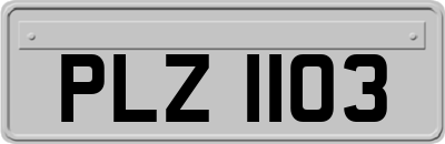 PLZ1103