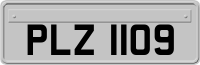 PLZ1109