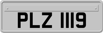 PLZ1119