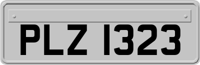 PLZ1323