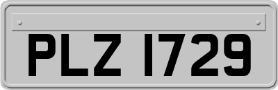 PLZ1729