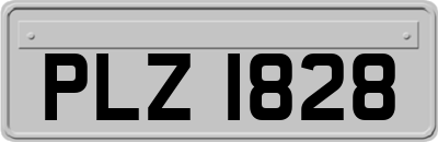 PLZ1828