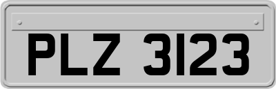 PLZ3123