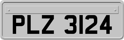 PLZ3124