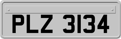 PLZ3134