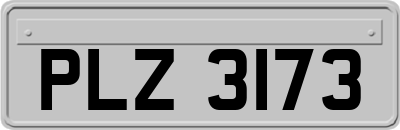 PLZ3173