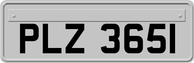 PLZ3651