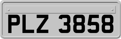 PLZ3858