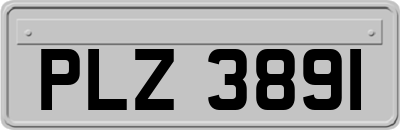 PLZ3891